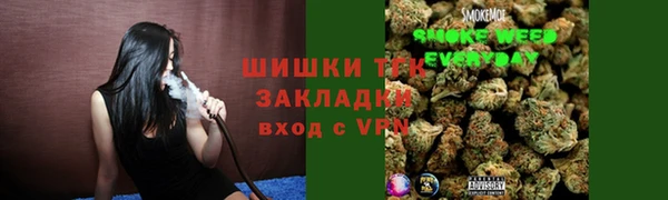 молекула духа Богородск