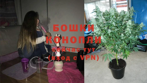 таблы Богородицк