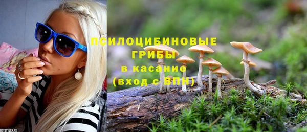 таблы Богородицк