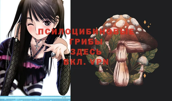 герыч Бронницы